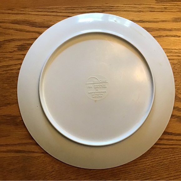 🍽️ ★❦꒒ik୧⌵♡⌵N୧w❦★ AUCTION PRICE👩🏻‍⚖️ Camp Out Bubbles Plastic Melamine Plate - Picture 2 of 4